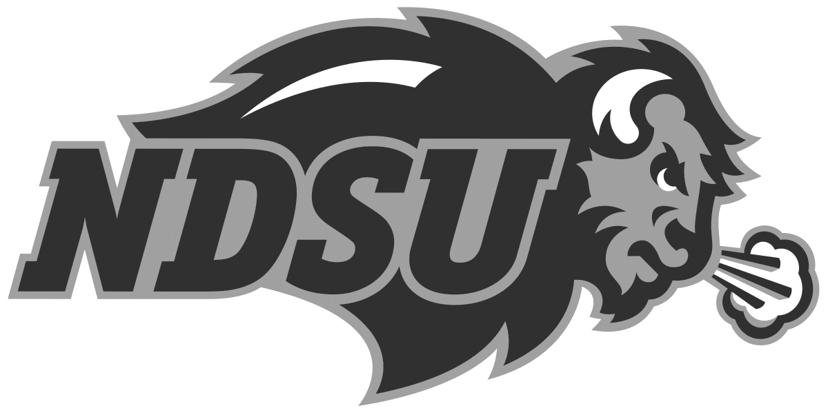 Logo NDSU company