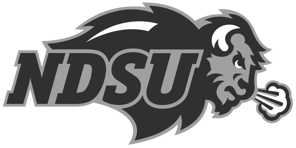 Logo NDSU company